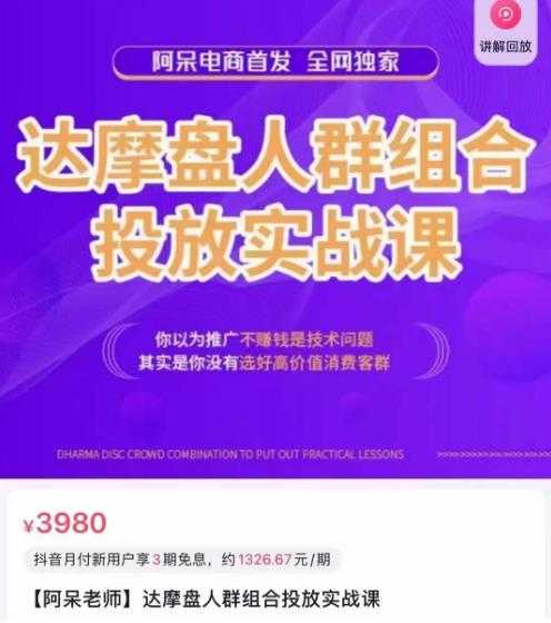 阿呆电商·达摩盘人群组合投放实战课,你以为推广不赚钱是技术问题,其实是你没有选好高价值消费客群-课程网