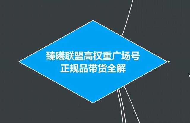 图片[1]-臻曦联盟抖音高权重广场号无人直播正规品带货全解-课程网